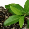 Olej z nasion herbaty NATURALNY