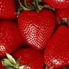 Peeling z nasion truskawek
