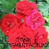 Tonik depigmentacyjny 50 ml