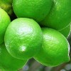 Olejek z Limetki kwaśnej NATURALNY