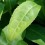 /environment/cache/images/150_150_productGfx_5cae96d9493d02178a39d638360f6ea8.jpg