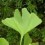 /environment/cache/images/150_150_productGfx_f35491e3af9417f1d33cae508b32722e.jpg