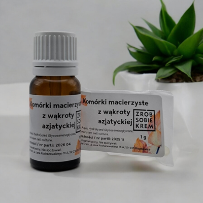 Komórki macierzyste z wąkroty azjatyckiej