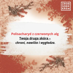 Hydrolizowany polisacharyd z czerwonych alg